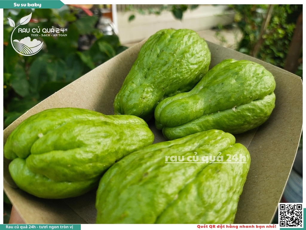 Quả su su baby - 300g