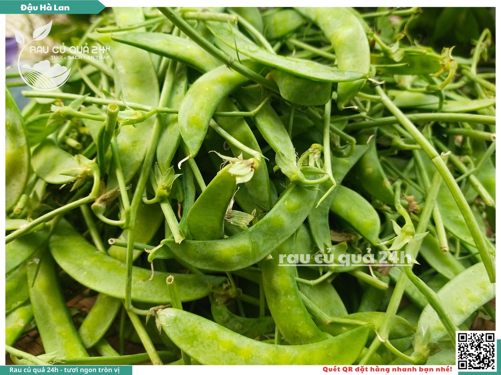 Đậu hà lan trái - 170g