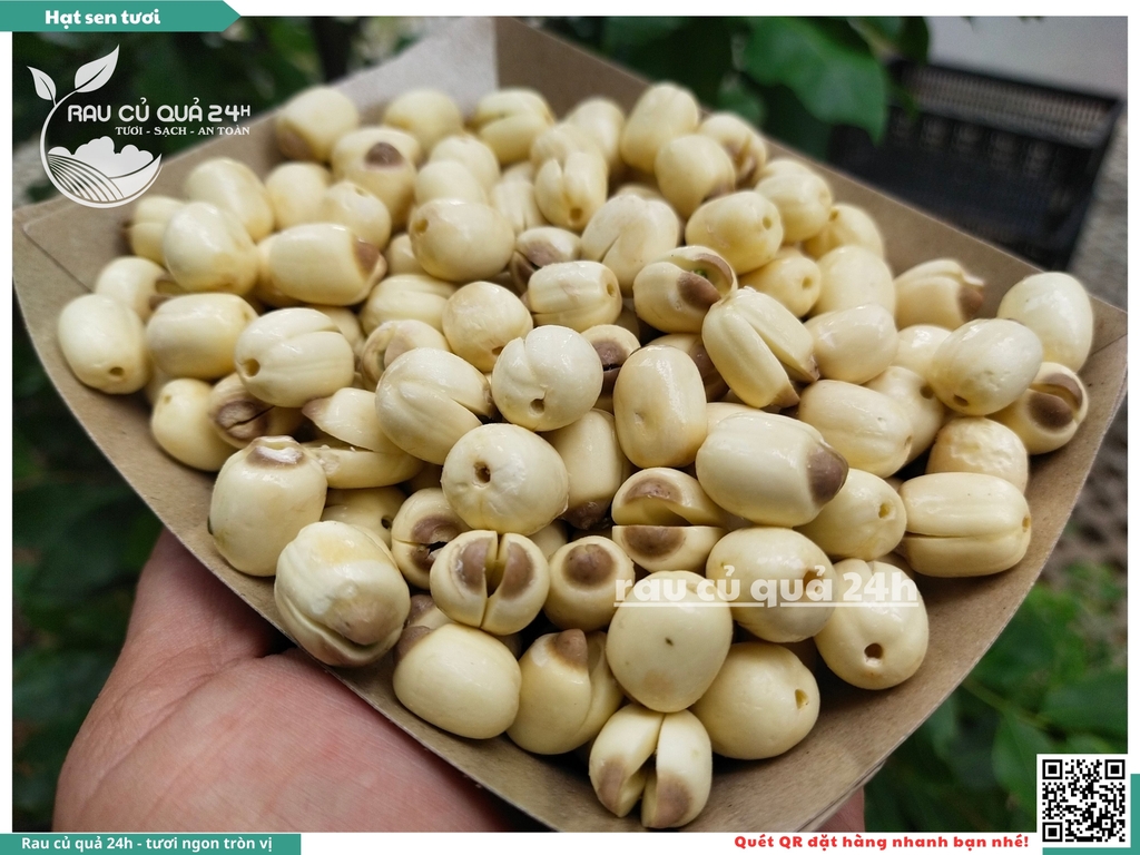 Hạt sen tươi - 100g