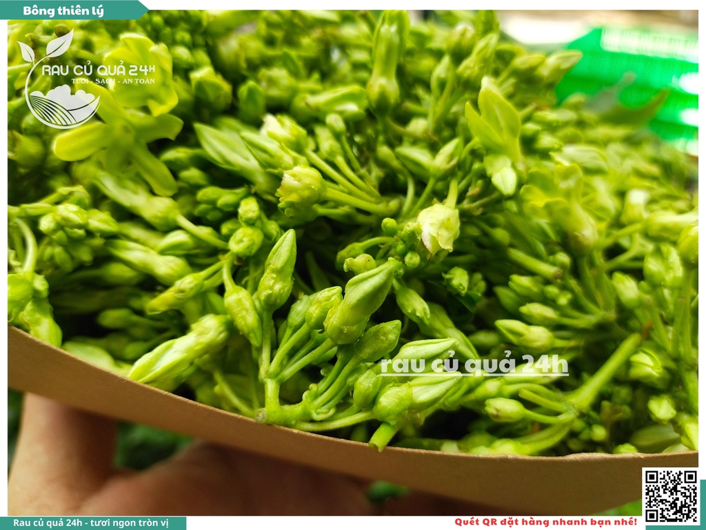 Bông thiên lý 250g