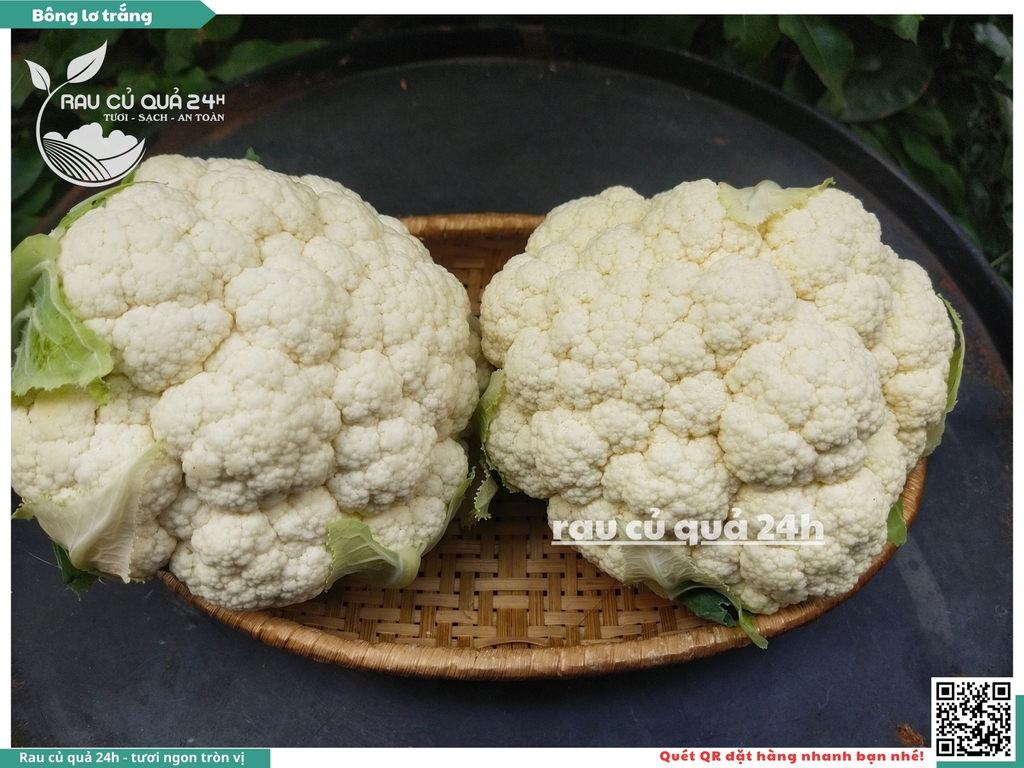 Bông lơ trắng 1 bông