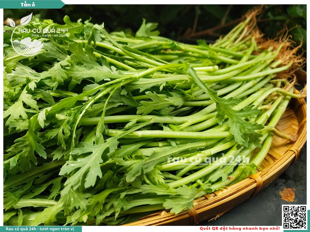 Rau Tần ô (Cải Cúc)