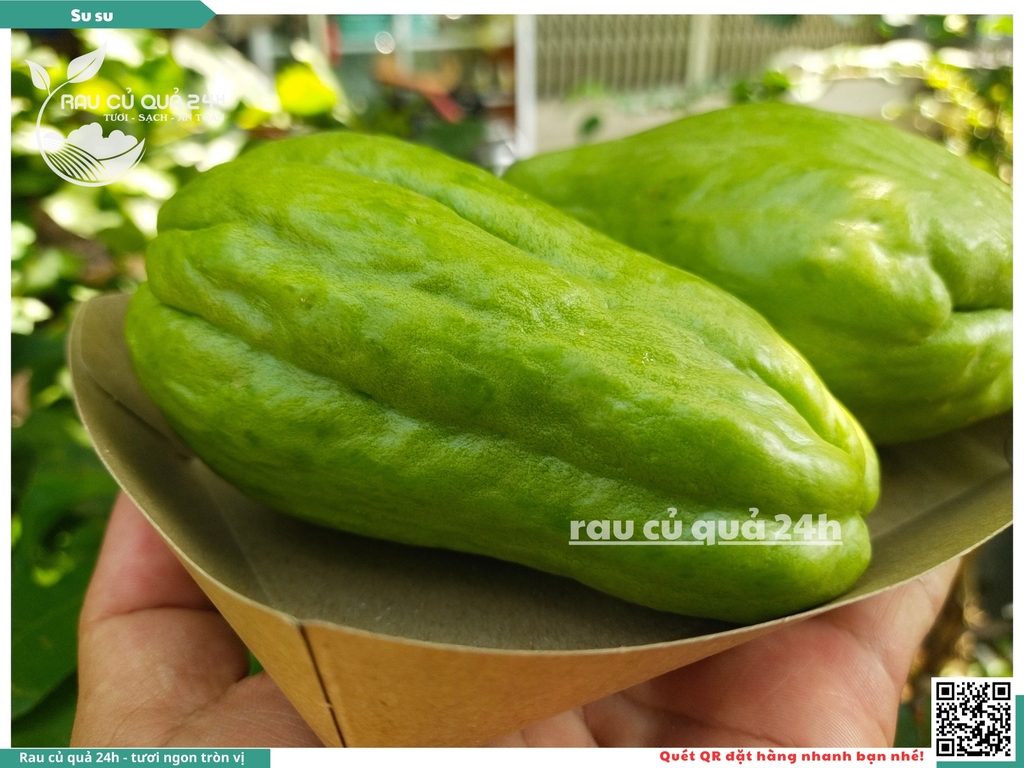 Quả Su su - 2 quả