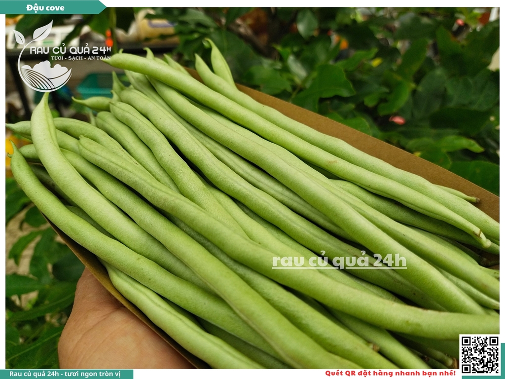 Quả Đậu cô ve - 400g