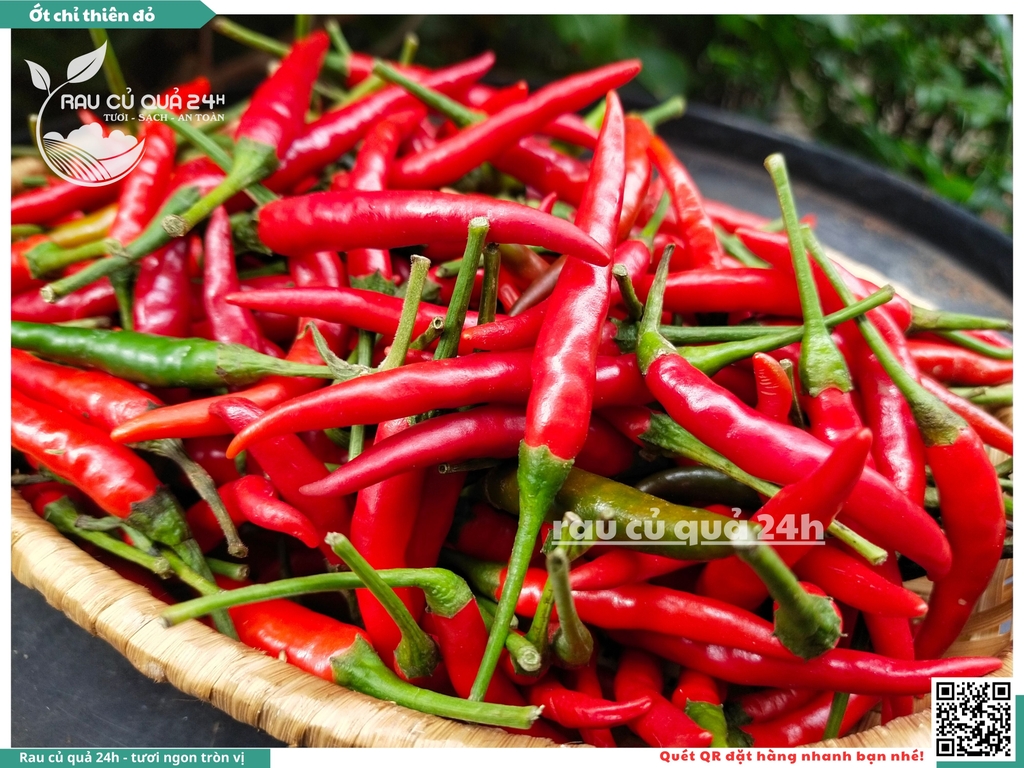 Ớt chỉ thiên đỏ - 45g