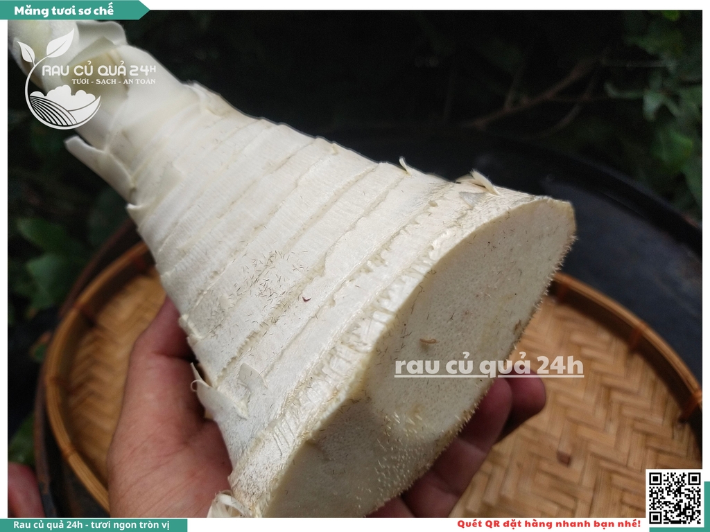 Măng tươi sơ chế - 1 cây