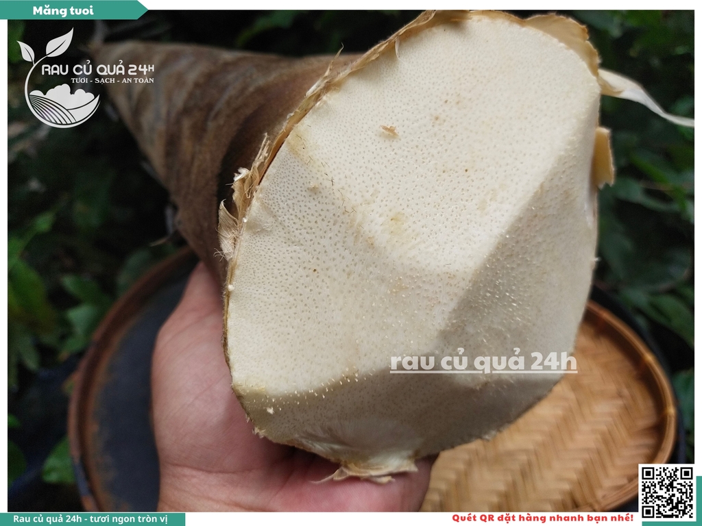 Măng tươi - 1 cây