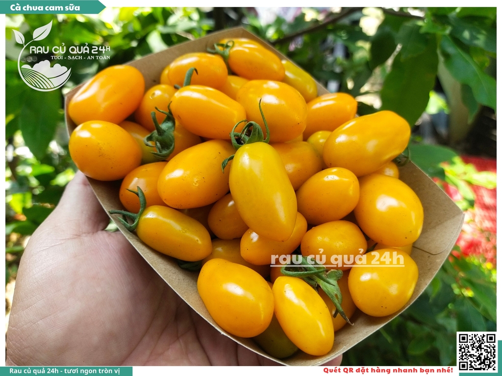 Cà chua cherry cam sữa - 500g