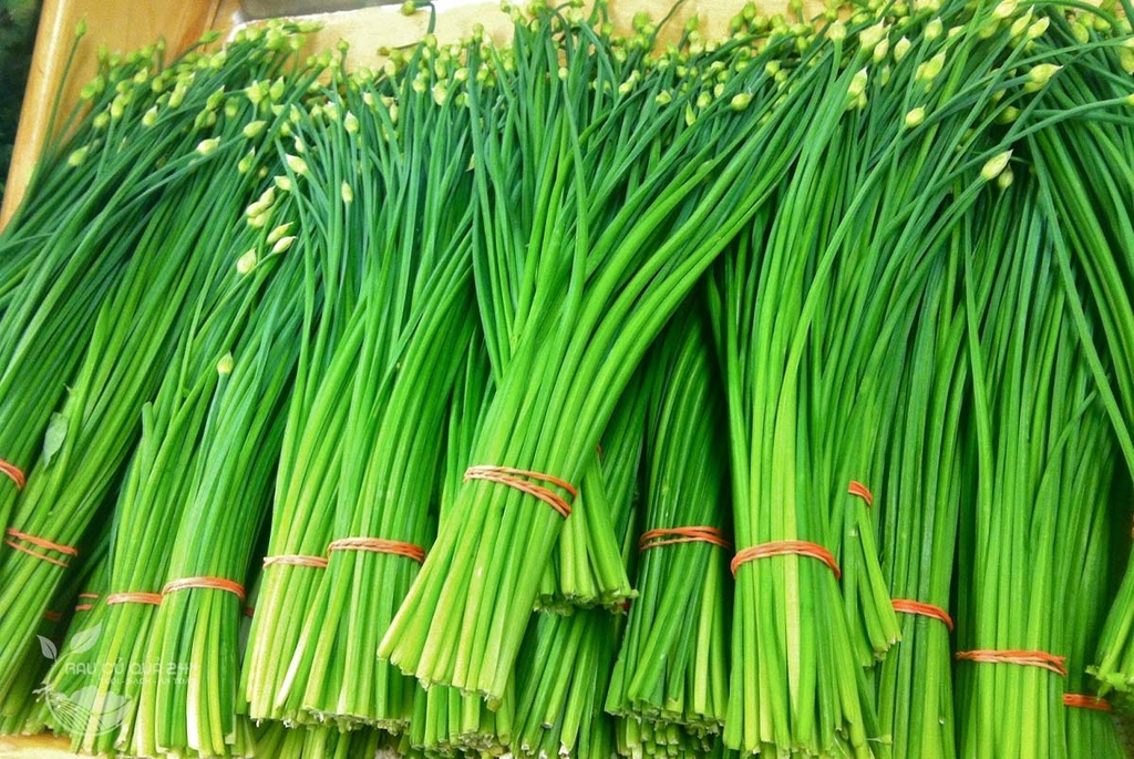 Bông hẹ Đà Lạt 300gr