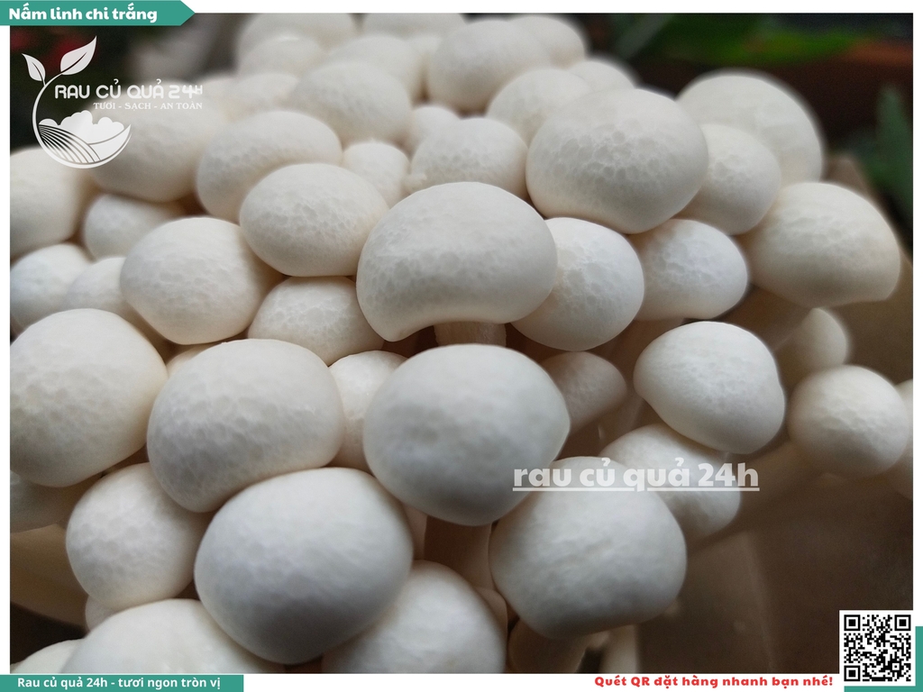 Nấm linh chi trắng - 175g