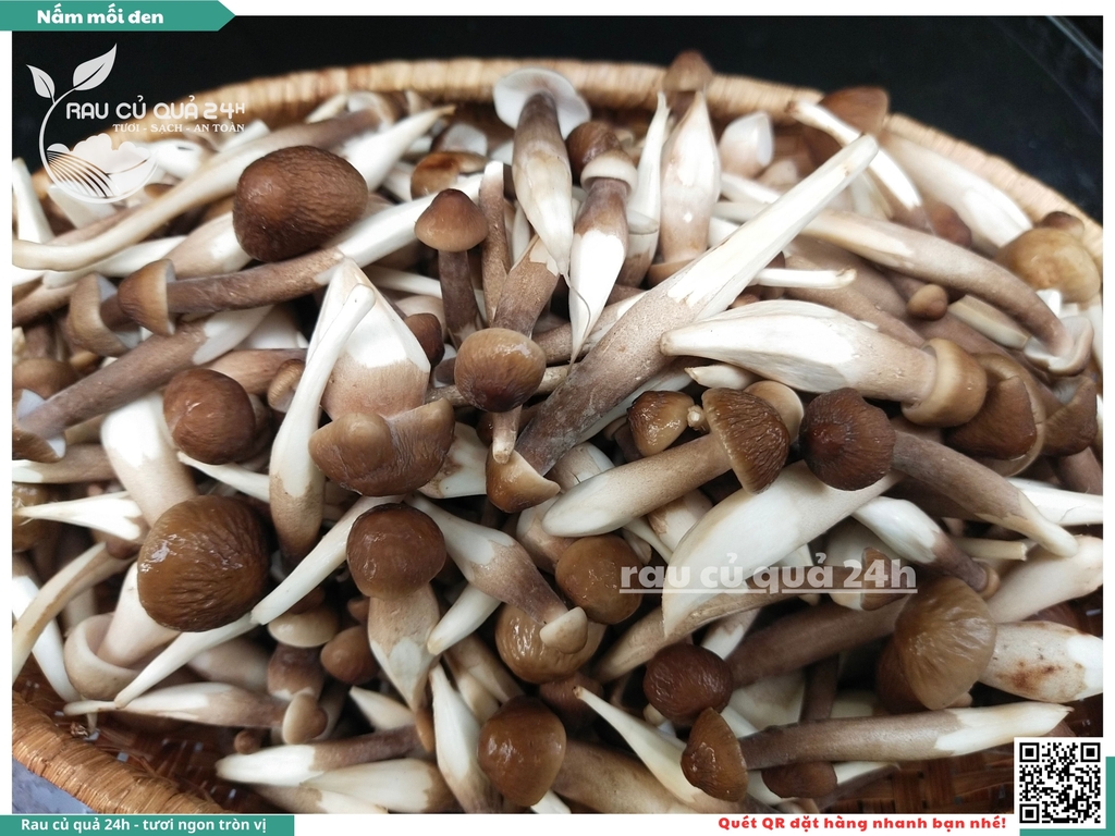 Nấm mối đen - 400g