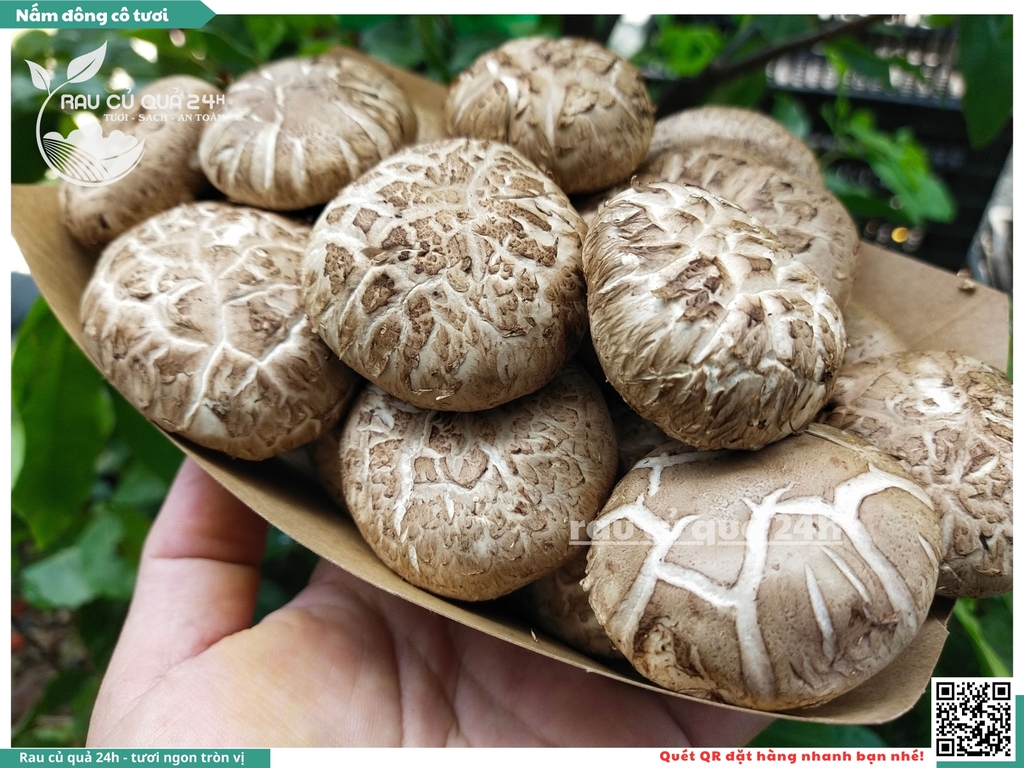 Nấm đông cô tươi khoảng 175g