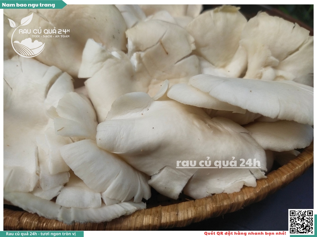 Nấm bào ngư trắng khoảng 200g
