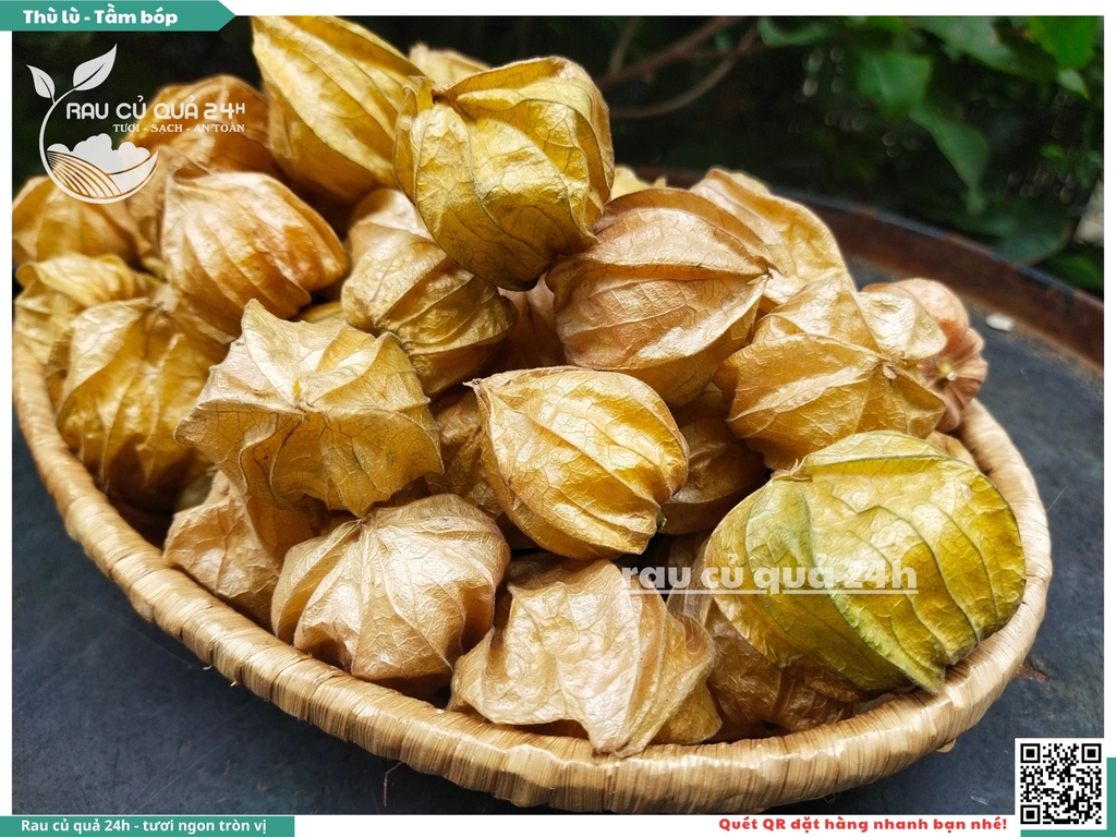 Thù lù - Tầm bóp Nam mỹ 300g