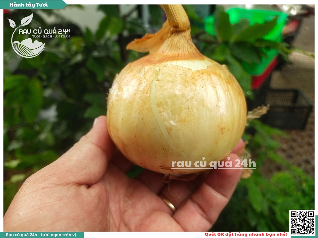 Củ Hành tây tươi Đà Lạt 300g