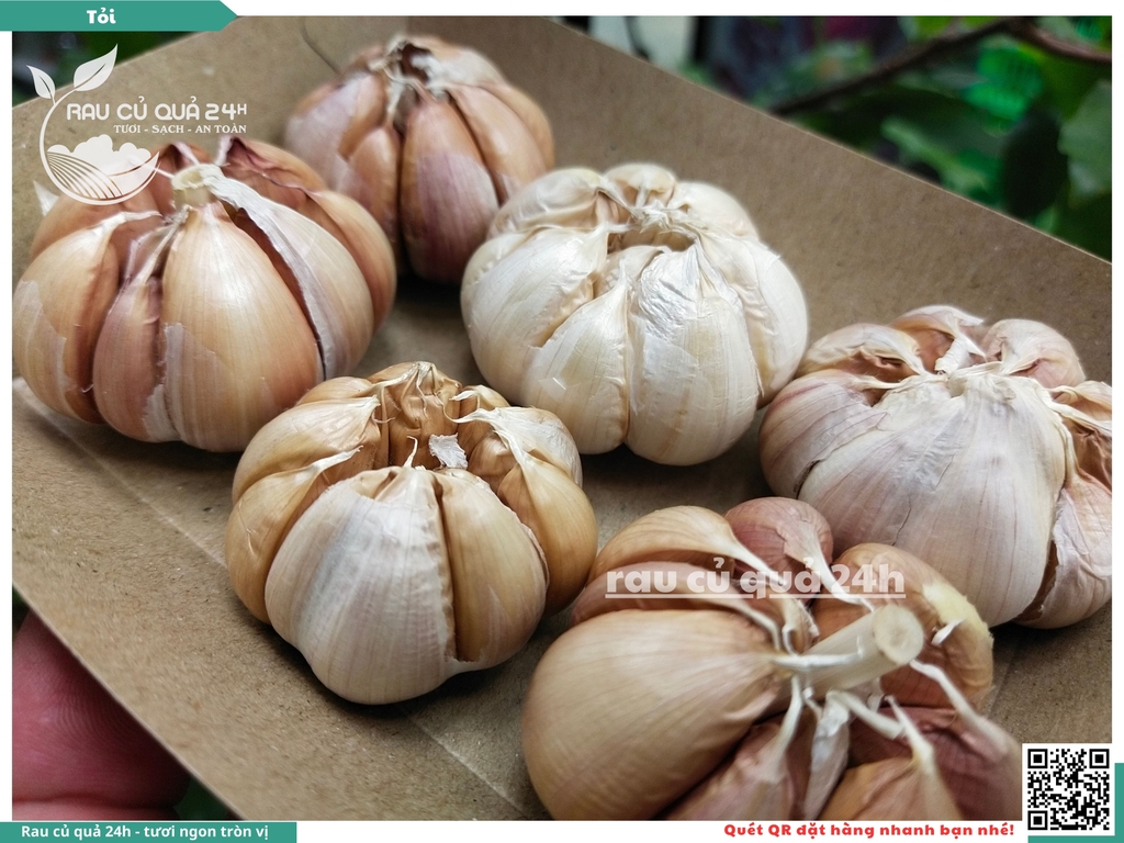 Củ Tỏi tép lớn khoảng 90g