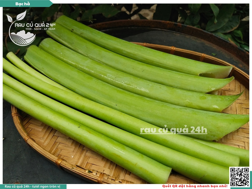 Bạc Hà - Dọc mùng 200g