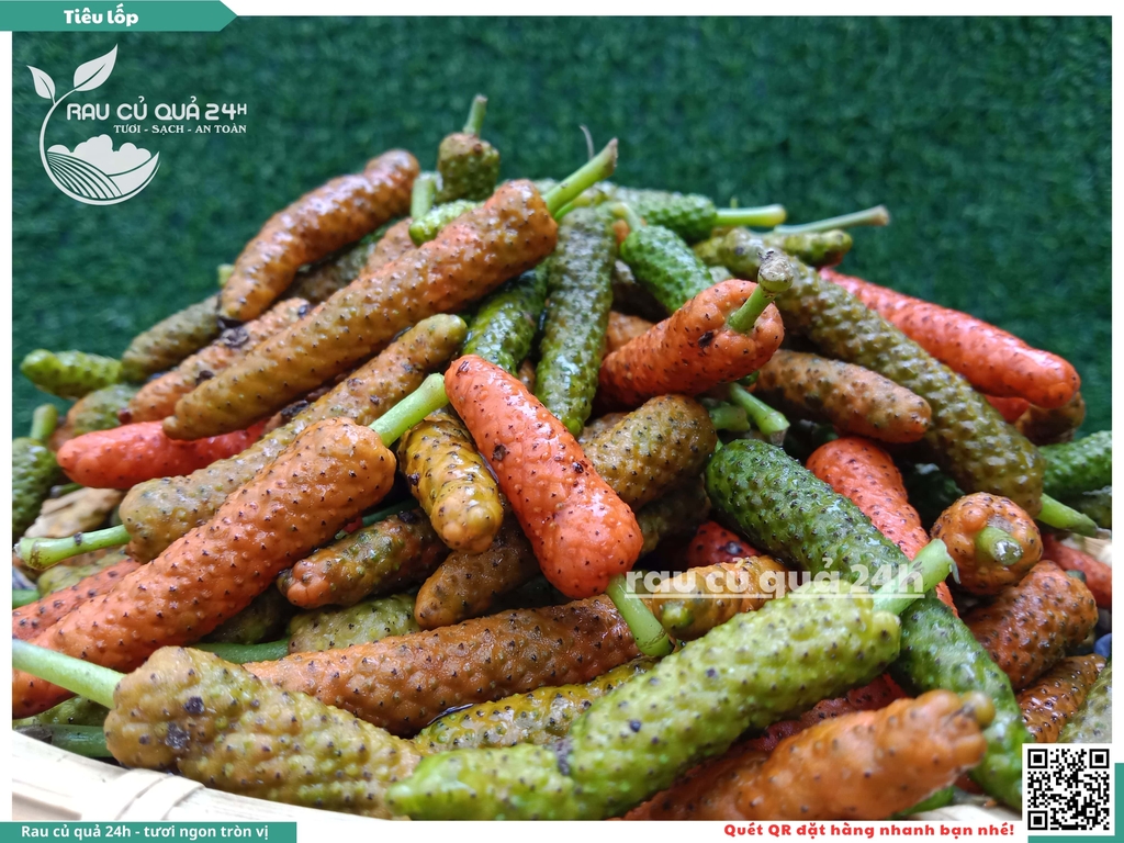 Hạt Tiêu lốp tươi