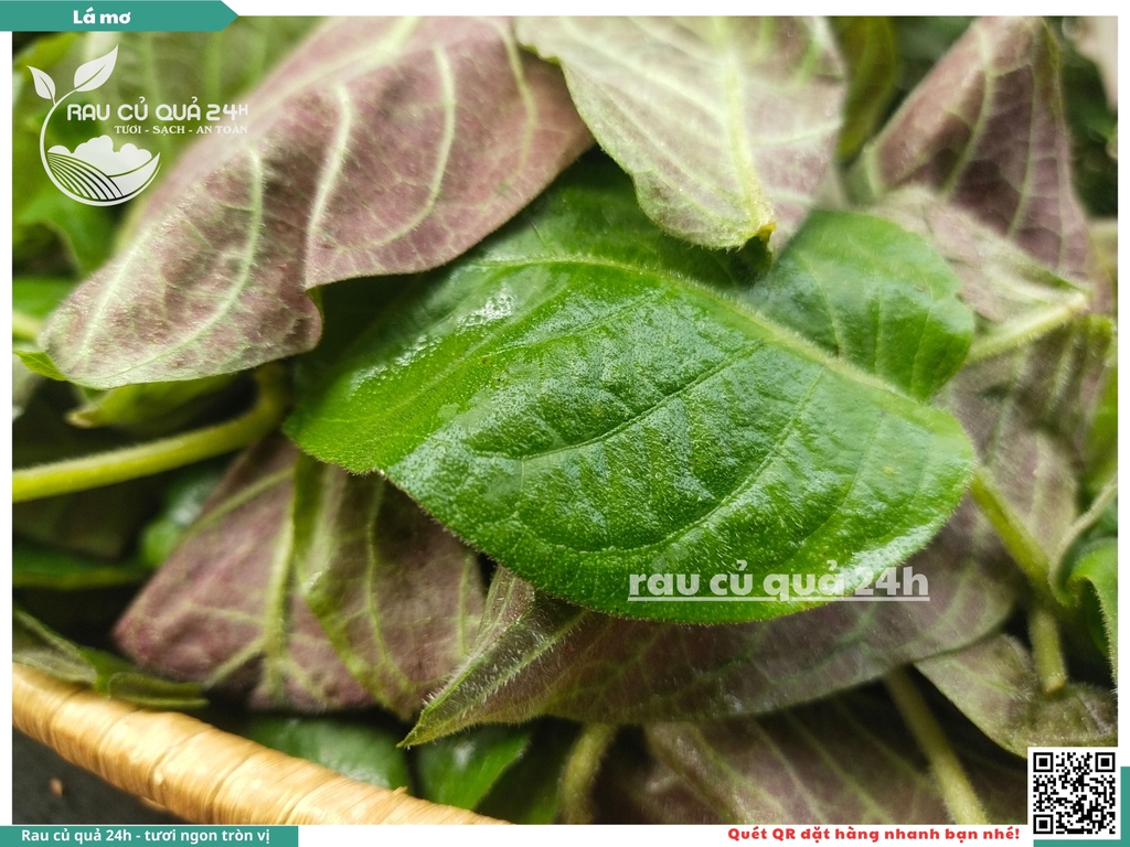 Lá mơ khoảng 100g