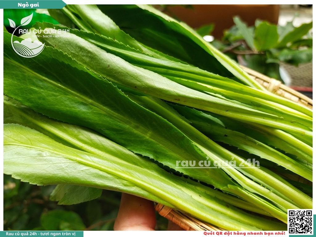 Rau nêm Ngò gai 65g