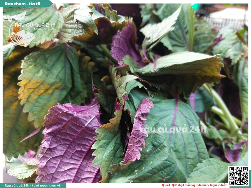 Rau thơm -  Tía tô 65g