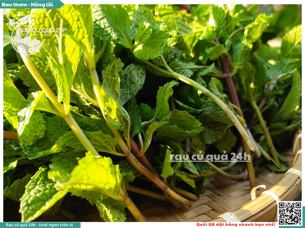 Rau thơm - Húng lũi 65g