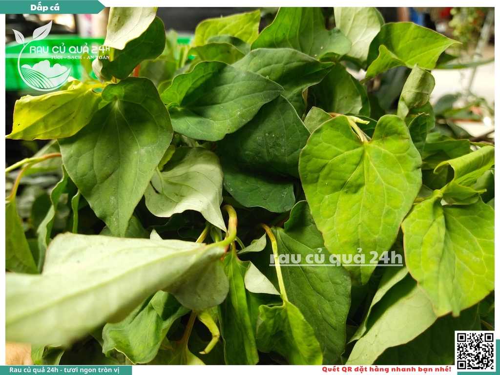 Rau thơm - dấp cá (Diếp cá) 65g