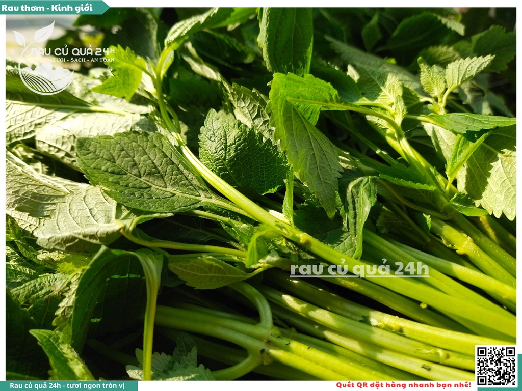 Rau thơm - Kinh giới 65g