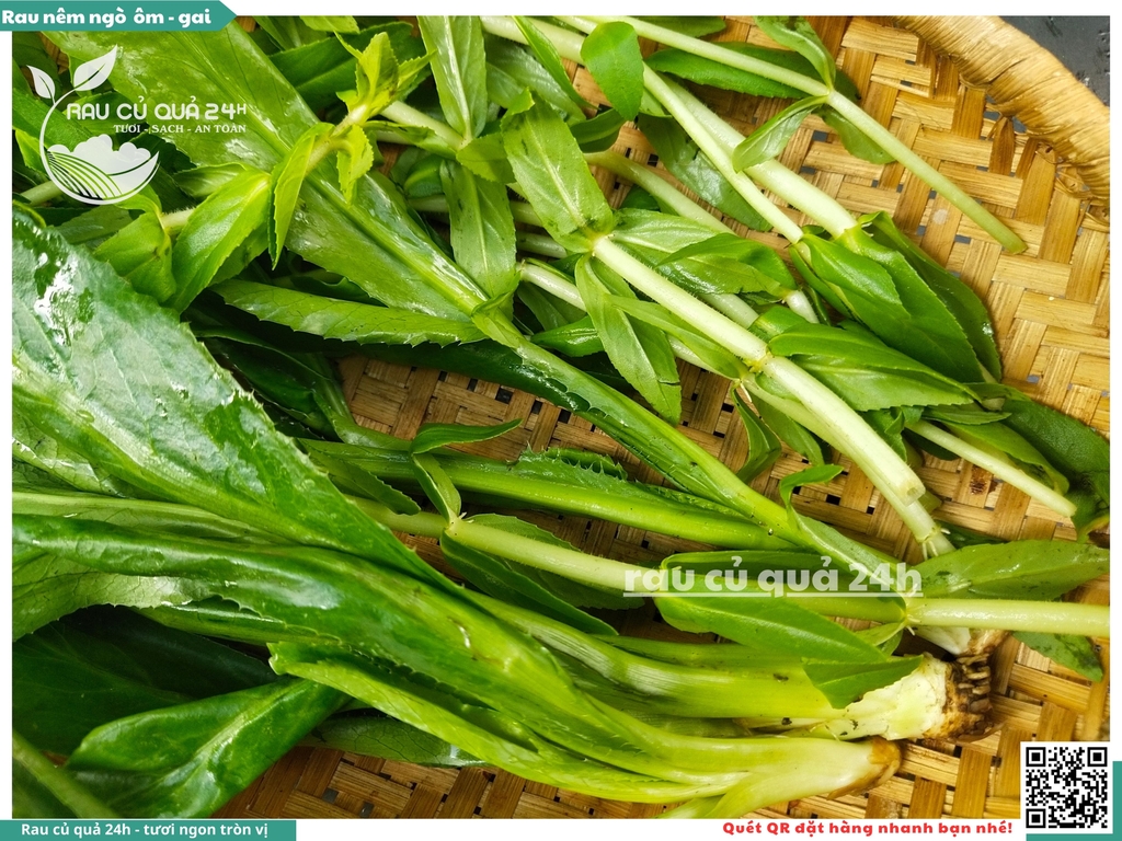 Rau Nêm Ngò ôm - Ngò gai khoảng 100g