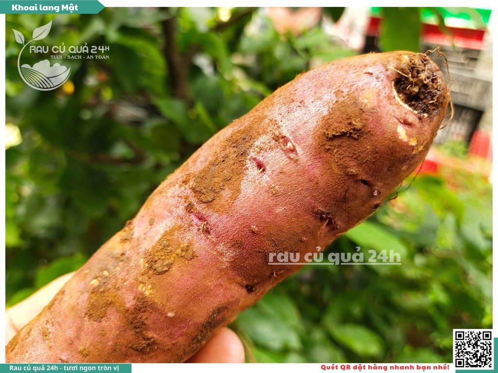 Khoai lang mật Tà Nung Đà Lạt