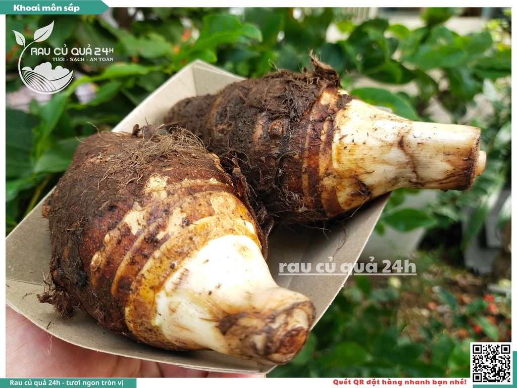 Khoai môn sáp Đà Lạt