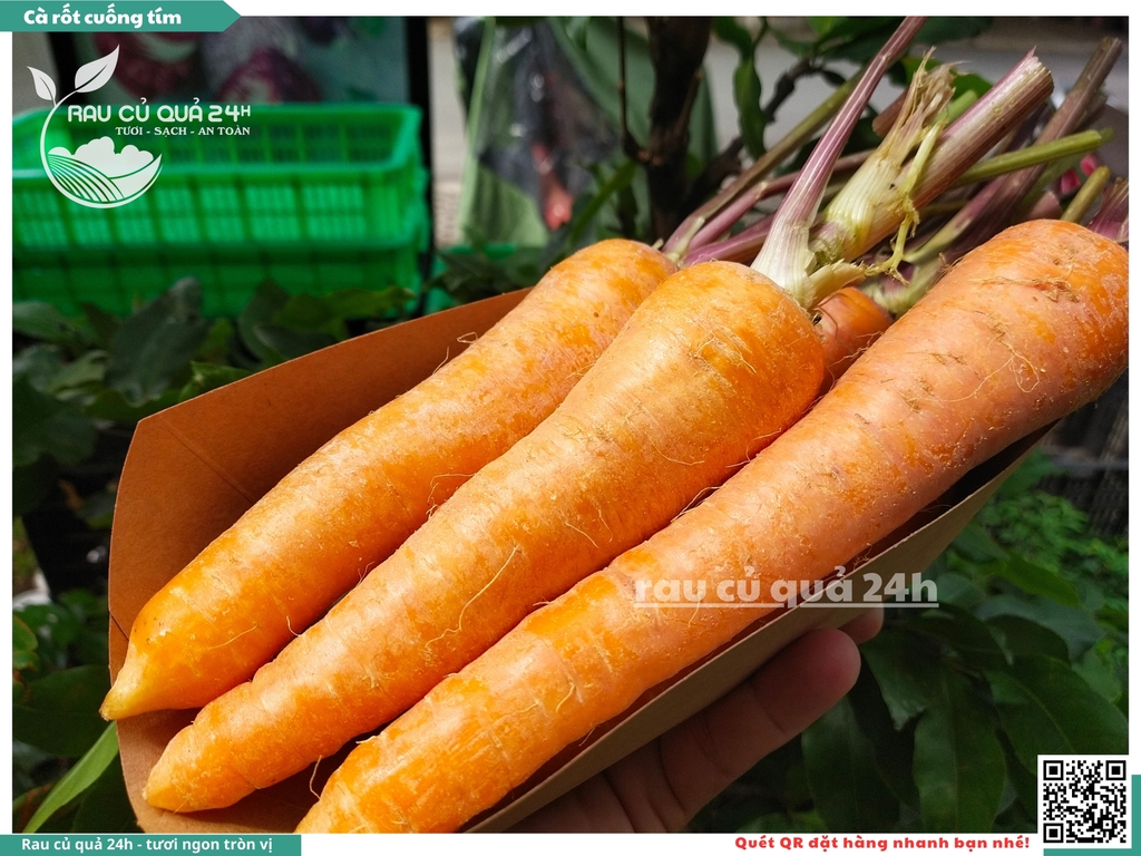 Cà rốt cuống tím khoảng 1kg