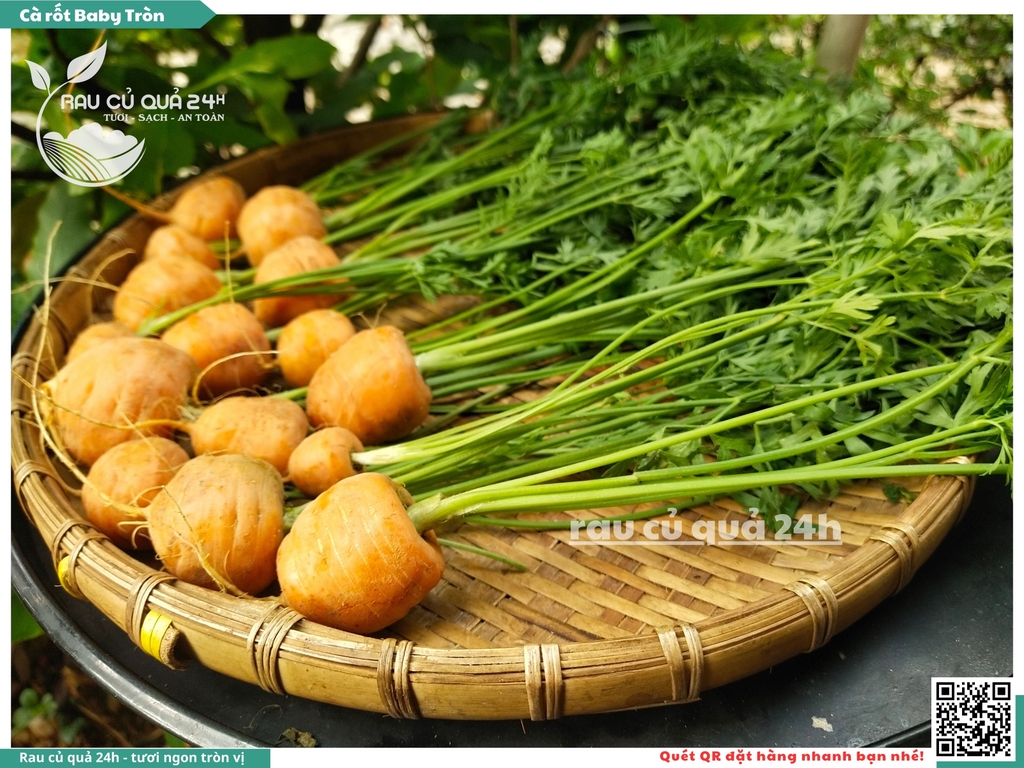 Cà rốt baby tròn