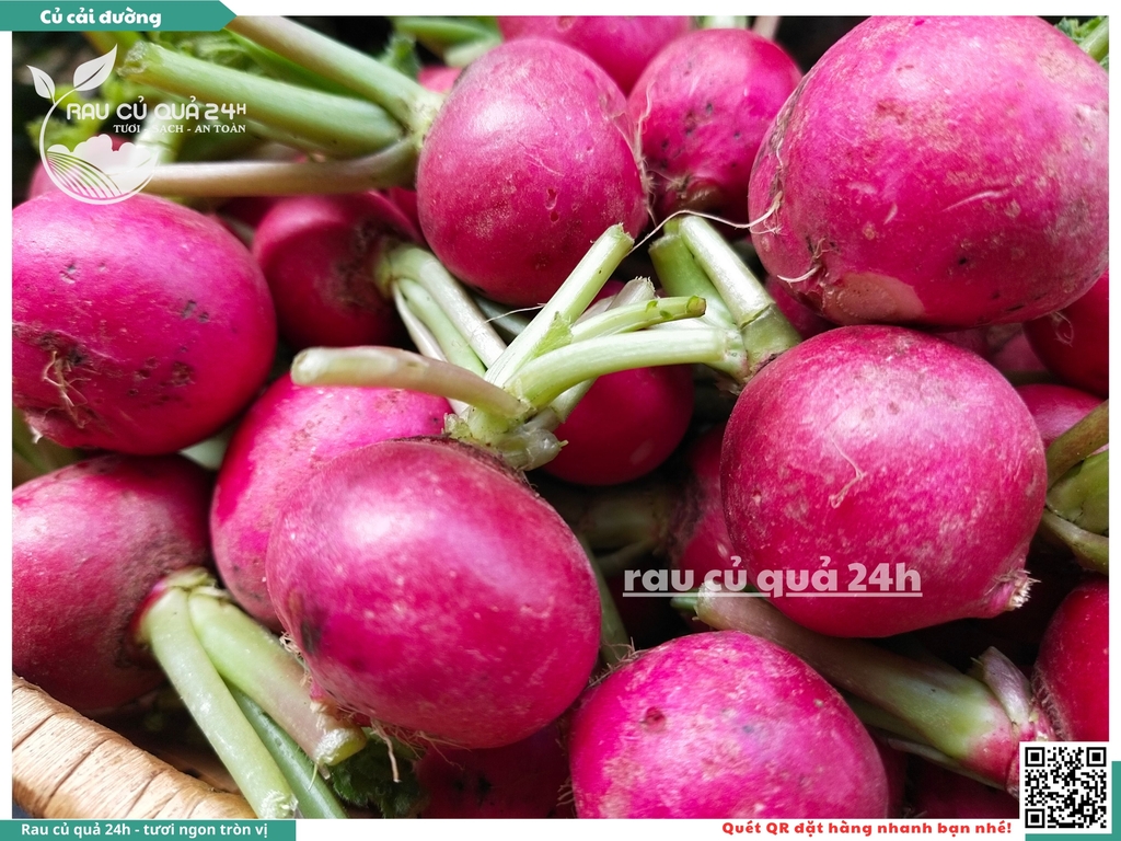 Củ cải đường