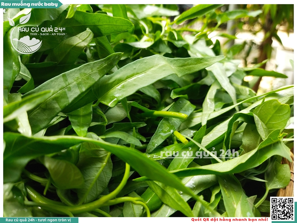 Rau muống nước baby khoảng 300g