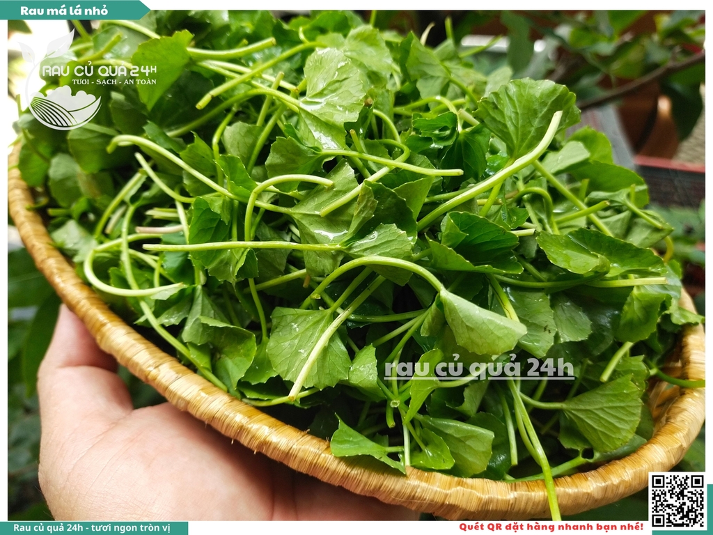 Rau má lá nhỏ khoảng 300g