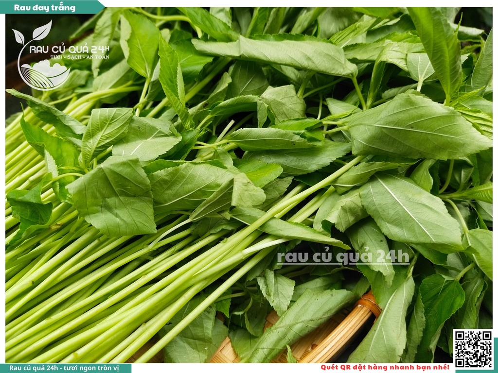 Rau đay trắng khoảng 300g