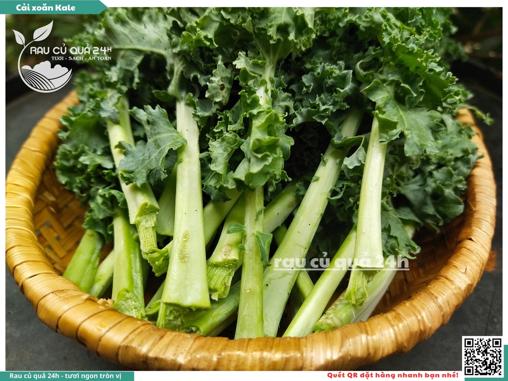 Rau Cải xoăn Kale