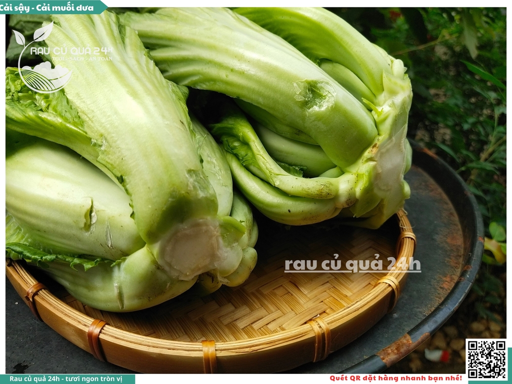 Cải muối dưa (cải sậy) khoảng 1kg