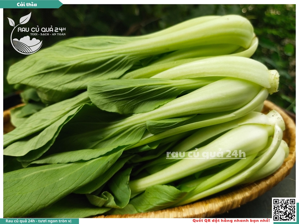 Rau Cải thìa - 300g