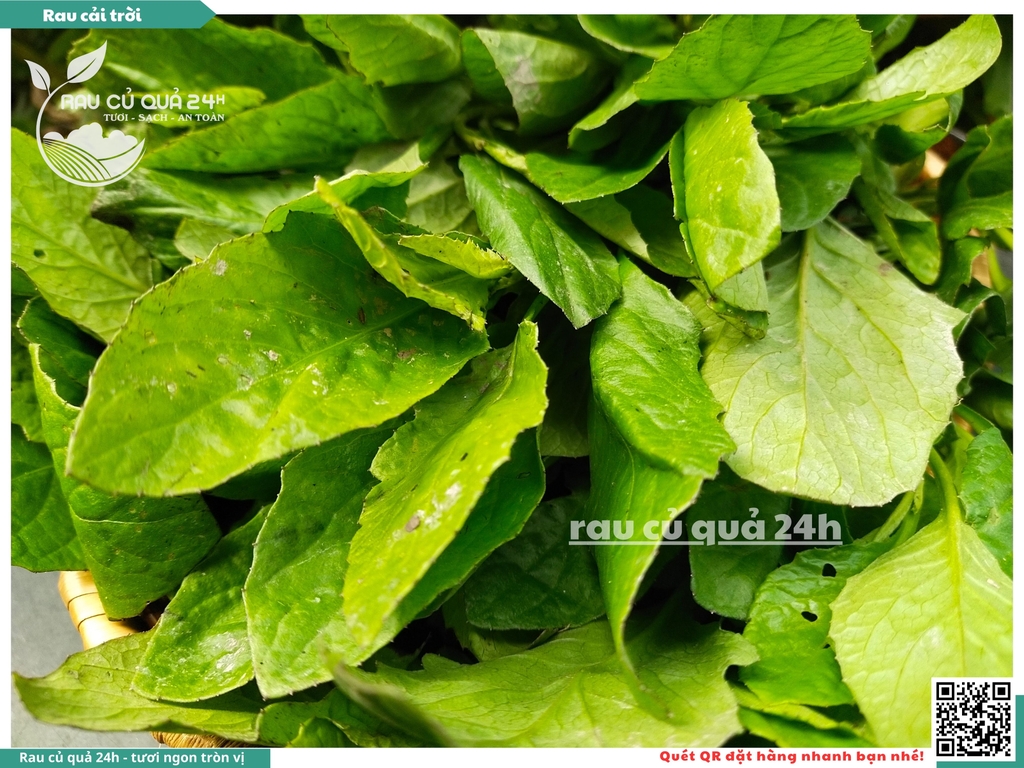 Rau cải trời khoảng 300g