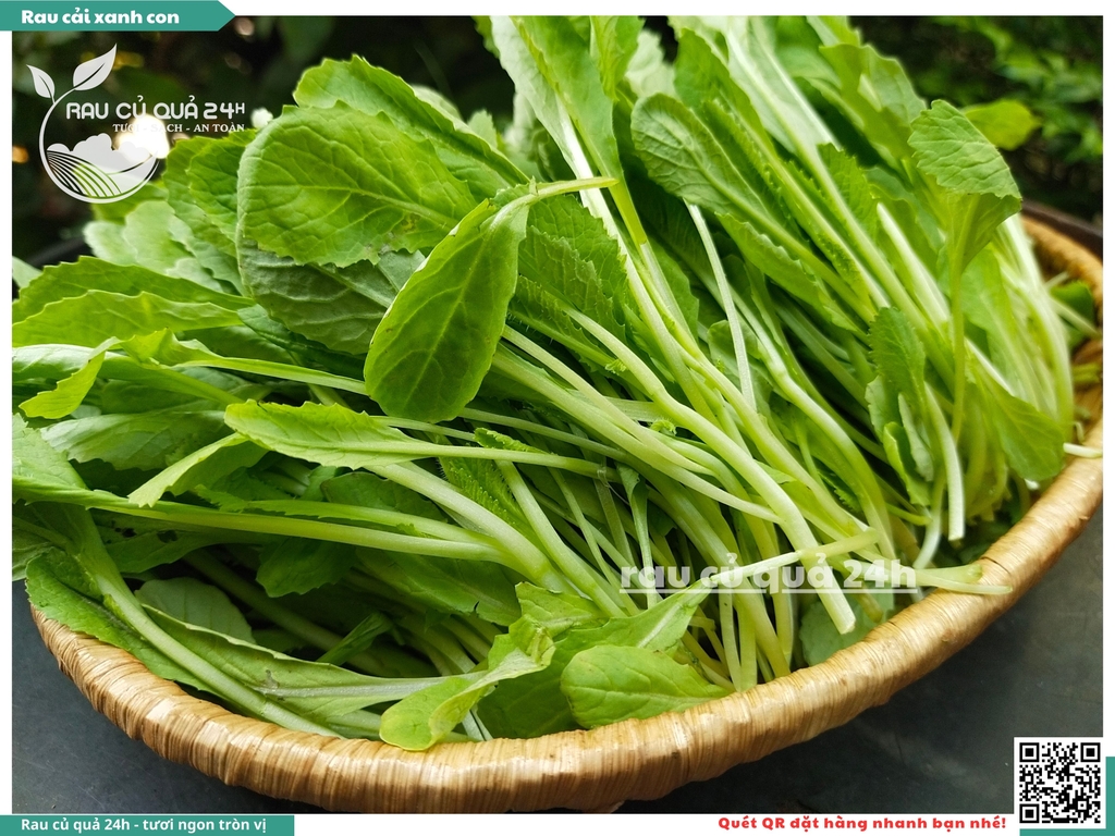 Rau cải xanh con khoảng 300g