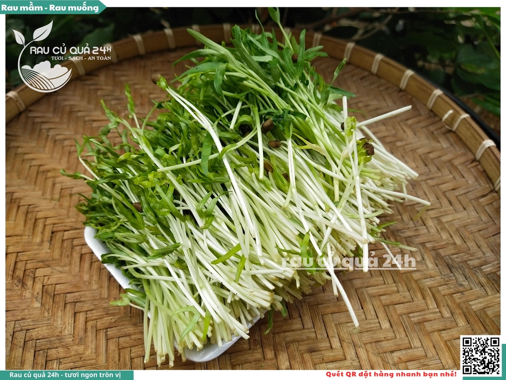 Mầm rau muống hạt khoảng 250g