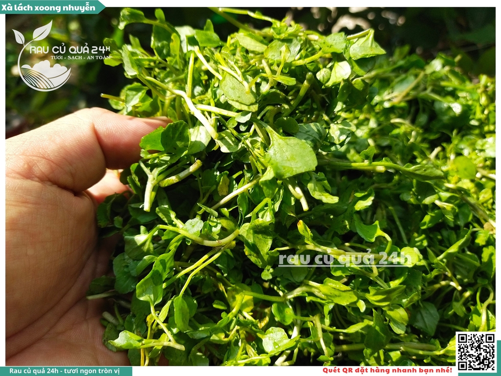 Rau xà lách xoong nhỏ (xoong nhuyễn) khoảng 250g