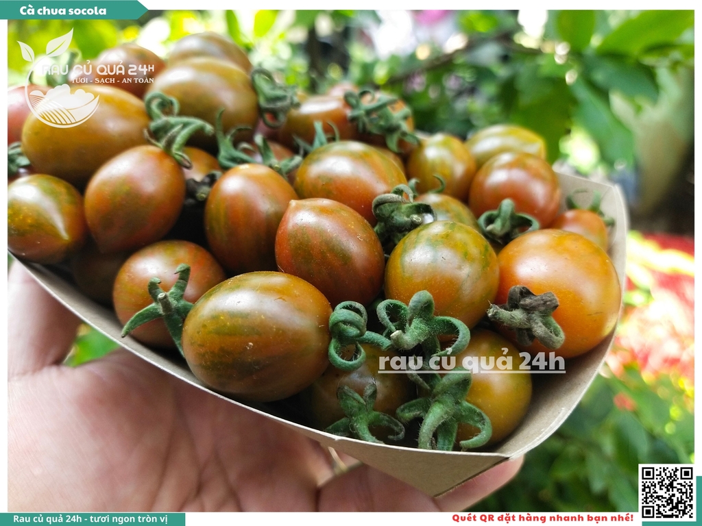 Cà chua cherry socola 250g