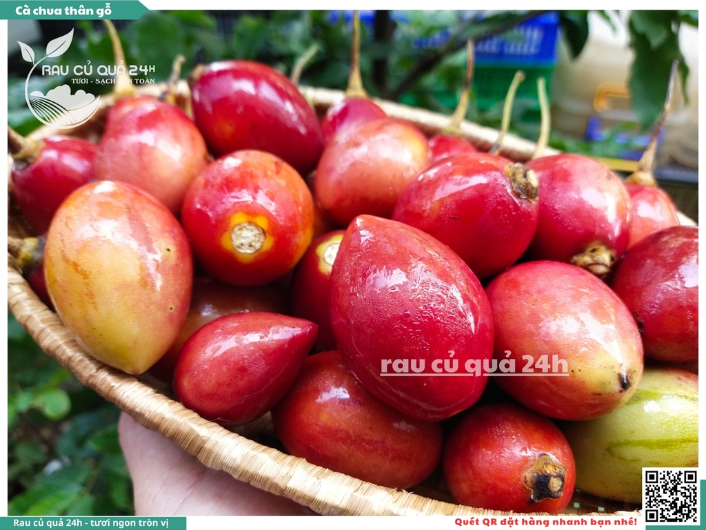 Cà chua thân gỗ hộp 500g