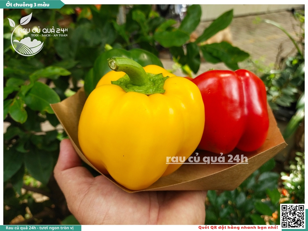 Ớt chuông ba màu khoảng 500 - 700gr