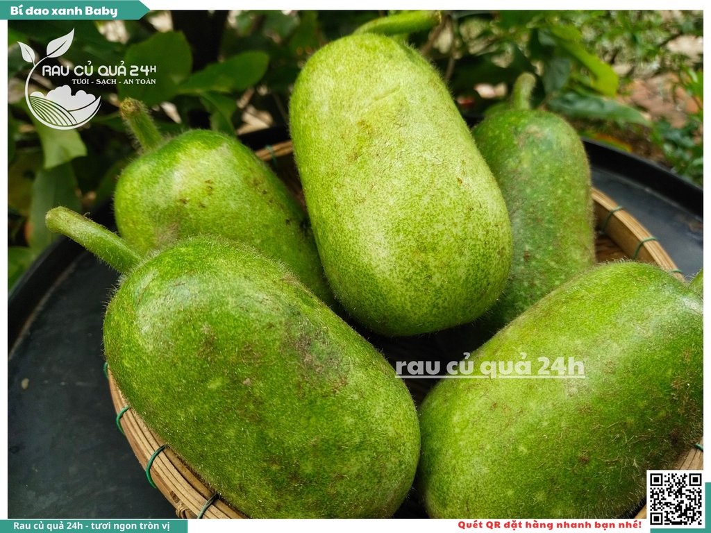 Quả Bí đao xanh baby - 2 trái