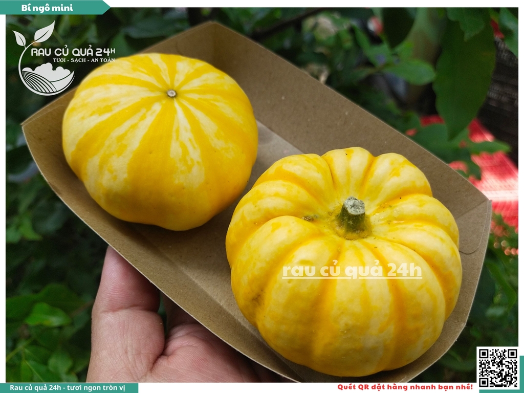 Bí ngô mini vàng 1 quả khoảng 200g