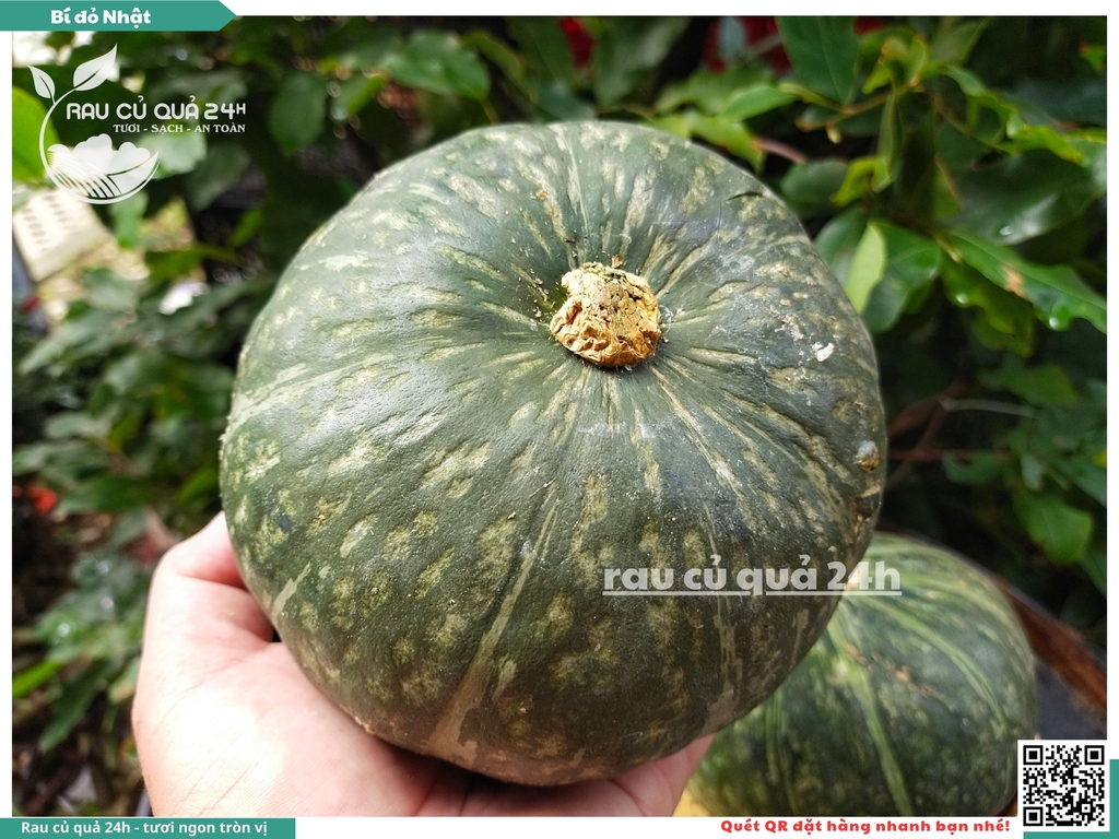 Bí đỏ Nhật - 1 quả